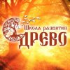 Иконка канала channel61579116