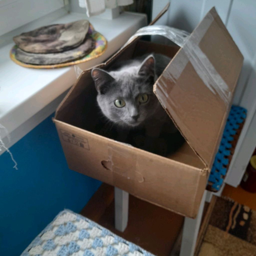 Аватар автора