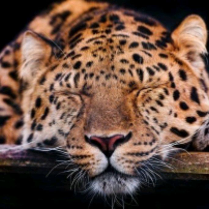 Иконка канала channel60134293