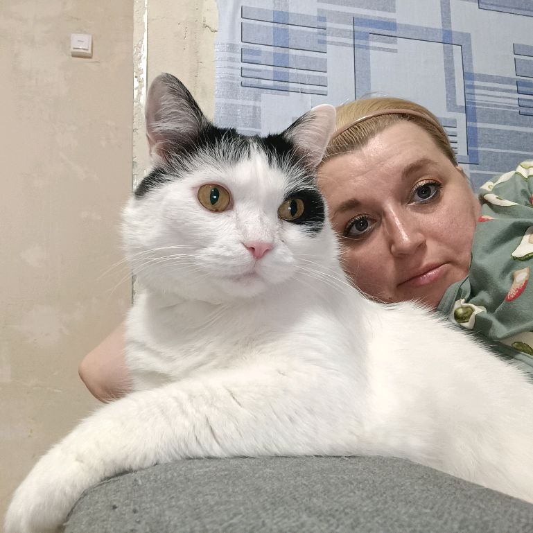 Аватар автора