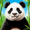 Иконка канала Мир с пандами и с Сашей