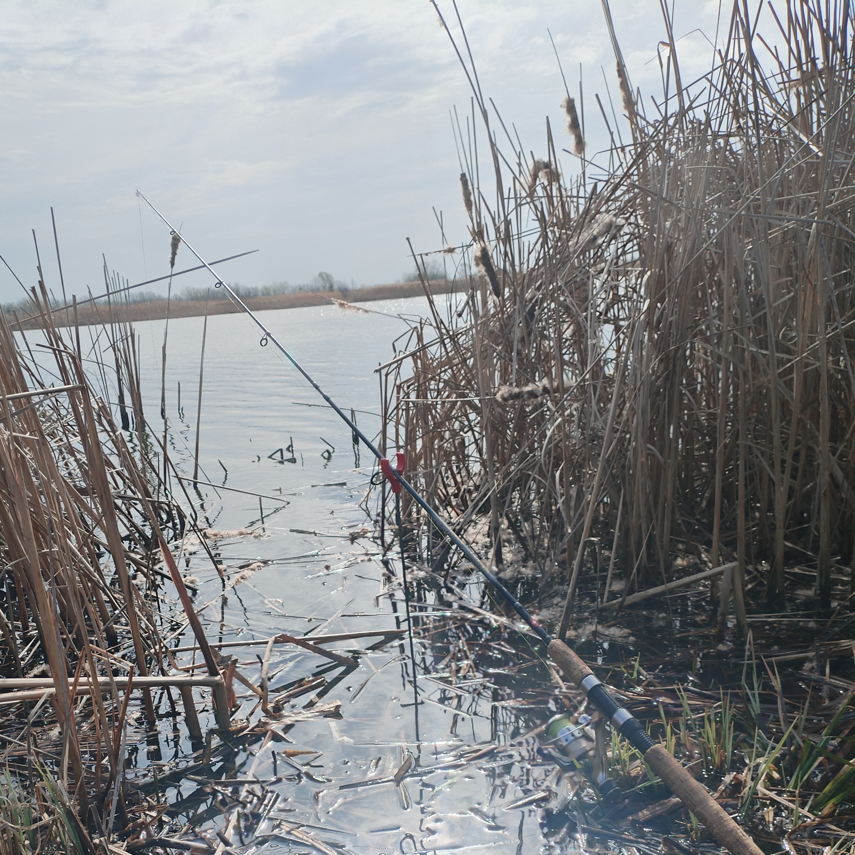 Иконка канала Кирилл Рыбак