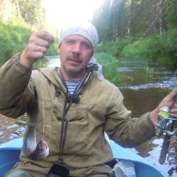 Аватар автора