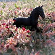 Иконка канала Avant-guard ( Horse Schleich) Лошади Шляйх.🐎