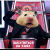 Иконка канала хомяк, просто публикую, свои сделки на бирже