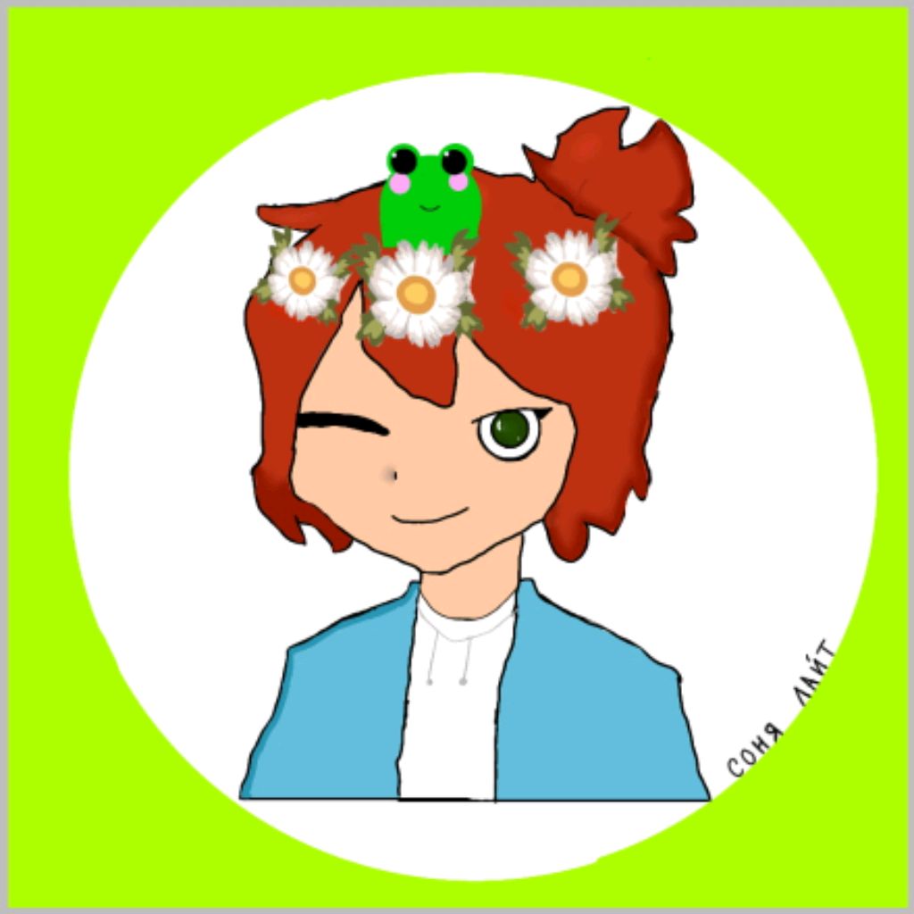 Аватар автора