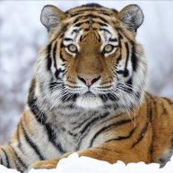 Иконка канала ОБО ВСЕМ ПОНЕМНОГУ....