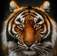 Иконка канала Тигрёнок154