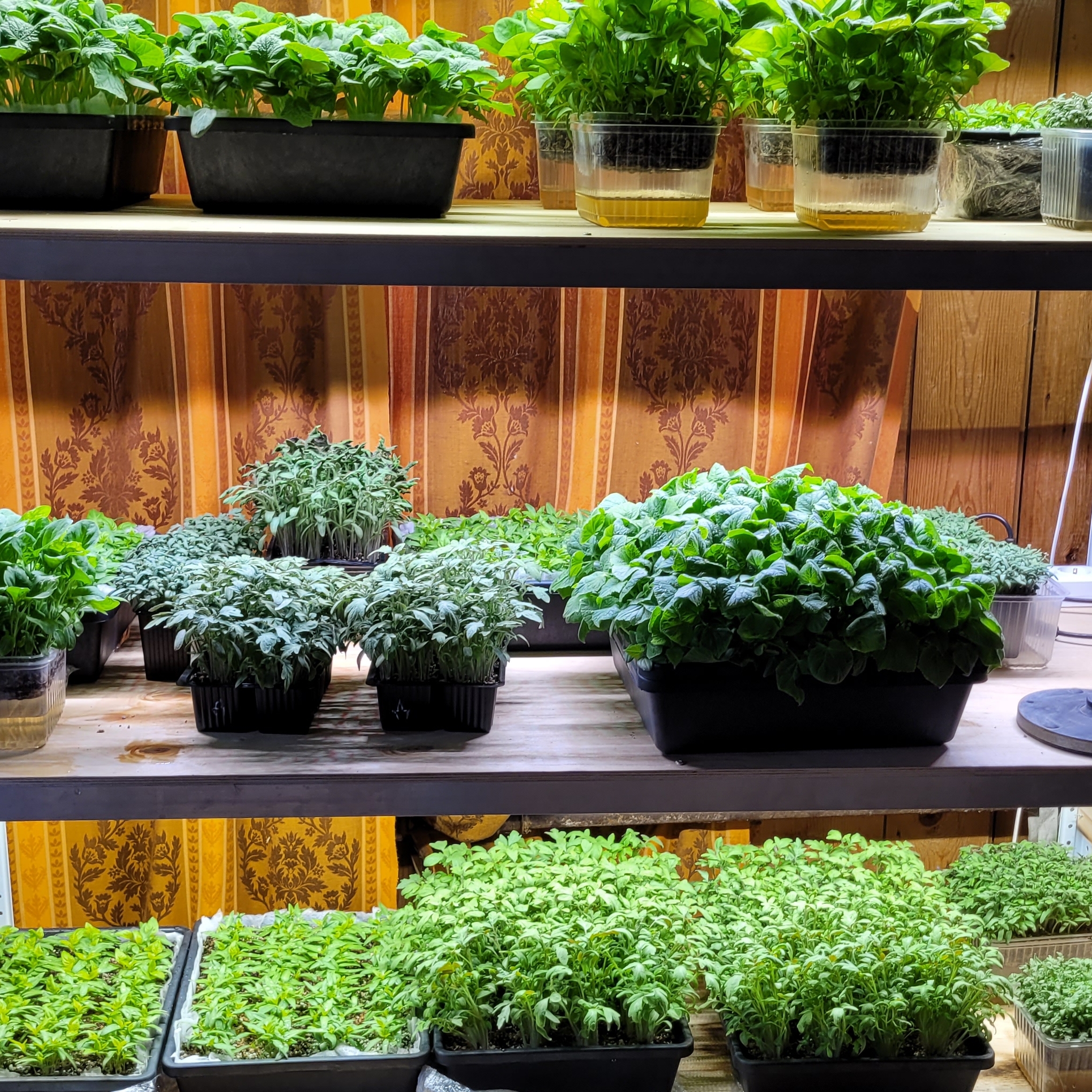 Иконка канала Непрактичный Огород