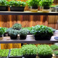 Иконка канала Непрактичный Огород