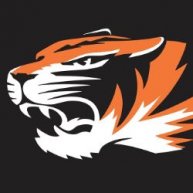 Иконка канала Тигры. Старый Оскол