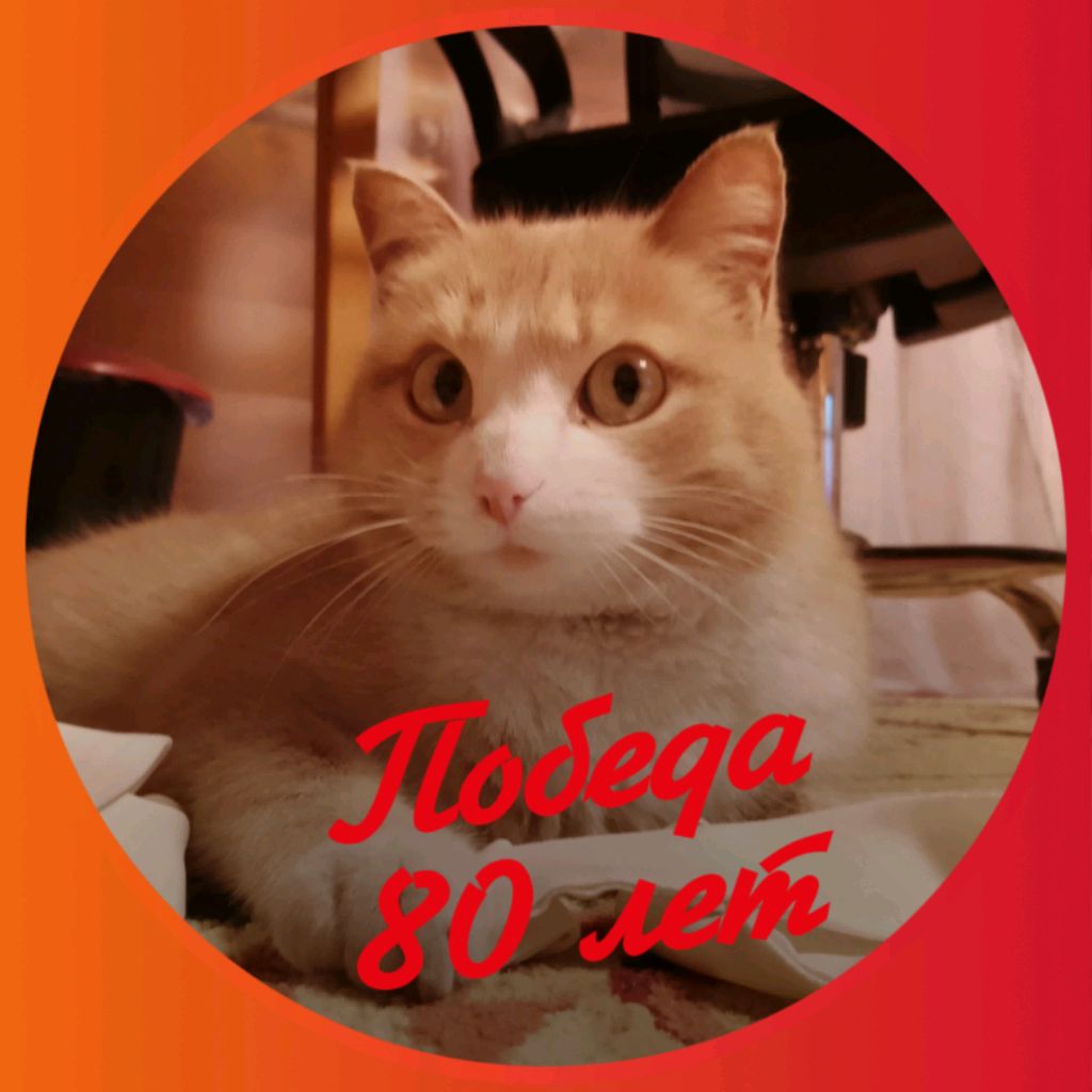 Аватар автора