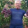 Иконка канала Чудеса виноградной лозы