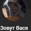 Иконка канала Зовут Вася