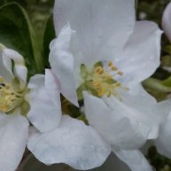 Иконка канала Пешком по...