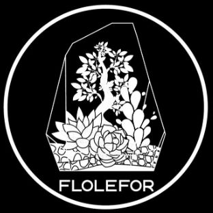 Иконка канала Flolefor-флорариумы и растения