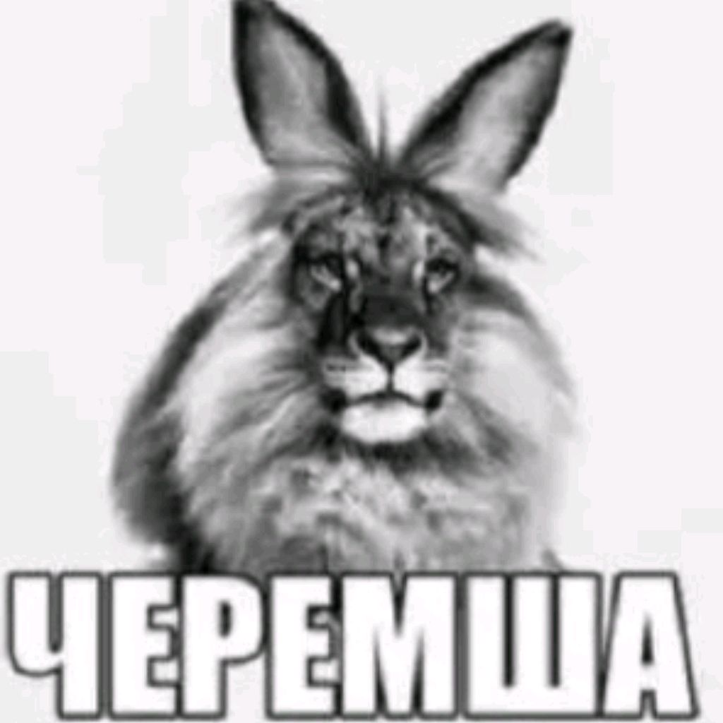 Иконка канала Черемша