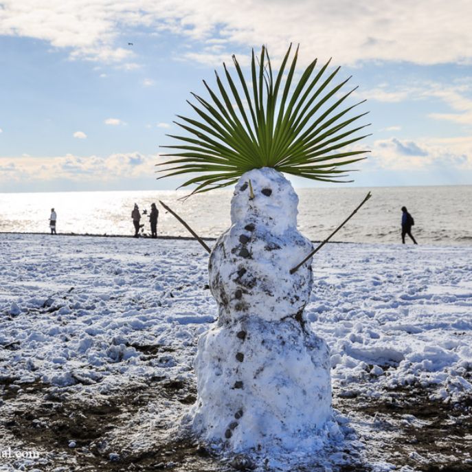 Аватар автора