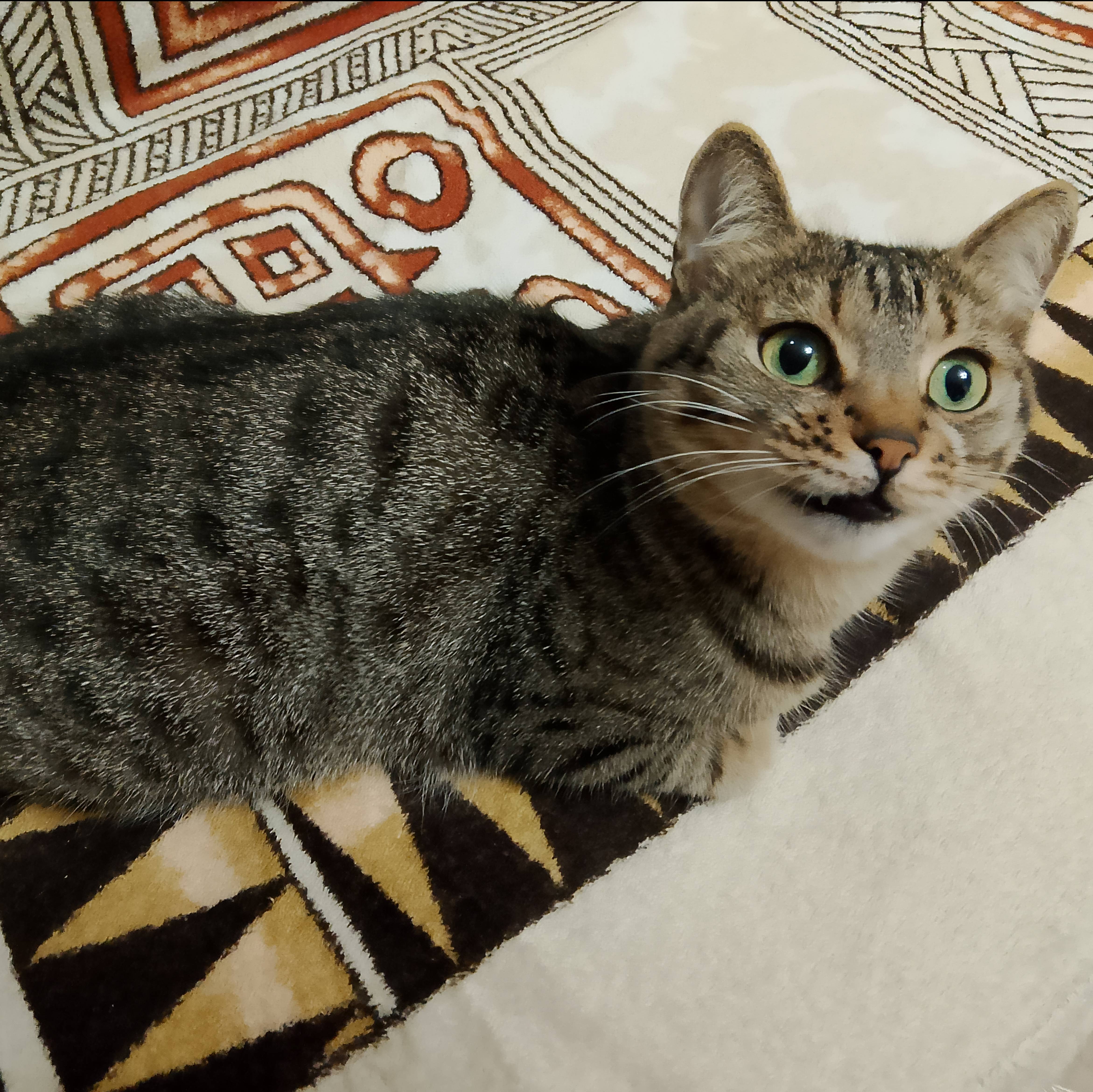 Аватар автора