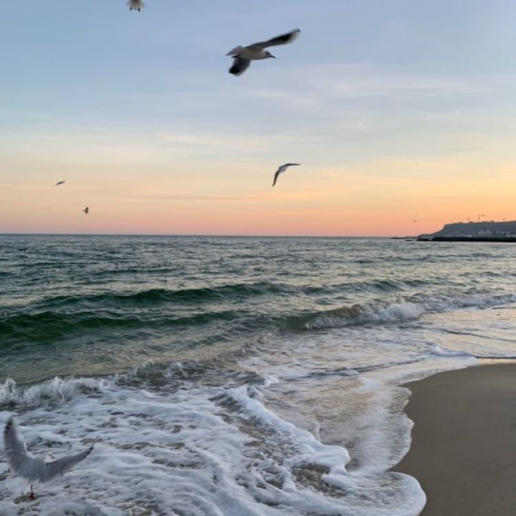 Аватар автора