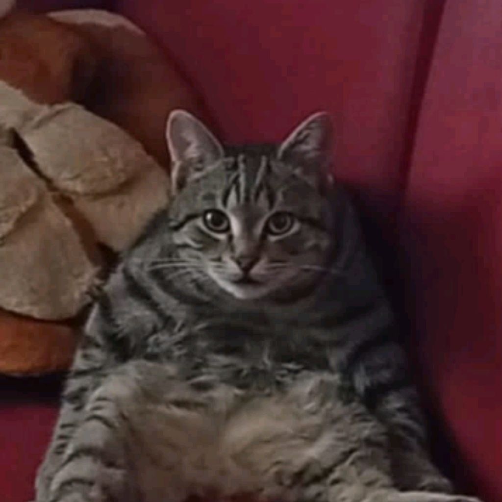 Иконка канала Перчик