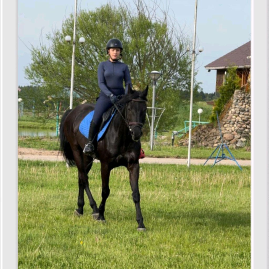 Иконка канала Дашикс