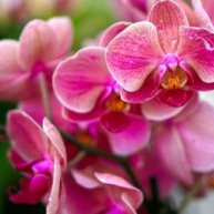 Иконка канала АрхИдея