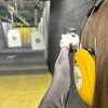 Иконка канала Alferova