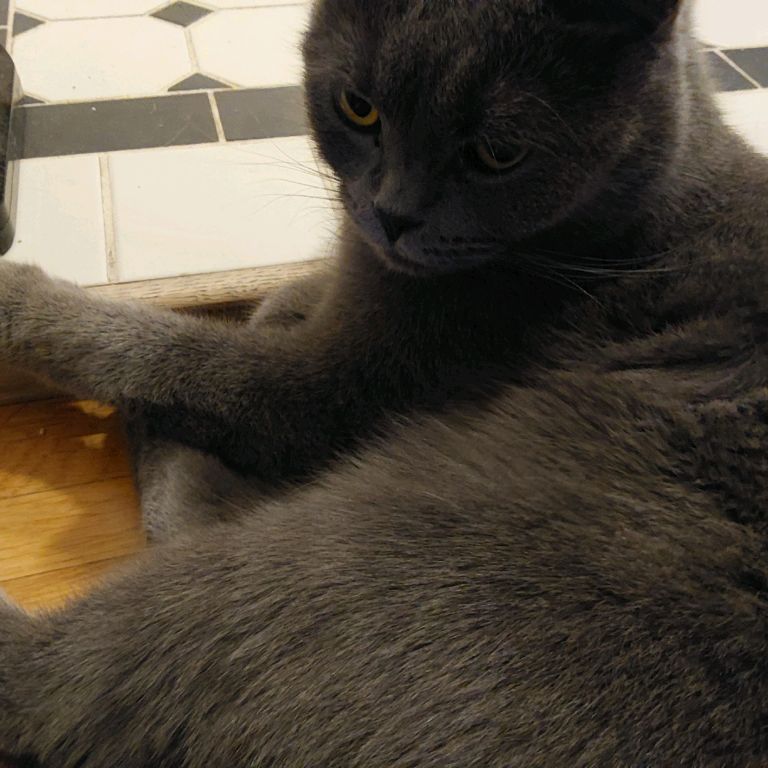 Иконка канала TOXINgd