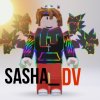 Иконка канала Sasha_DV