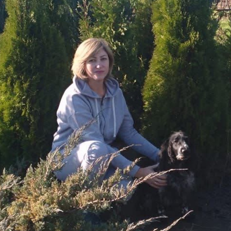 Иконка канала Питомник хвойных растений ТуйЛенд