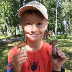 Аватар автора