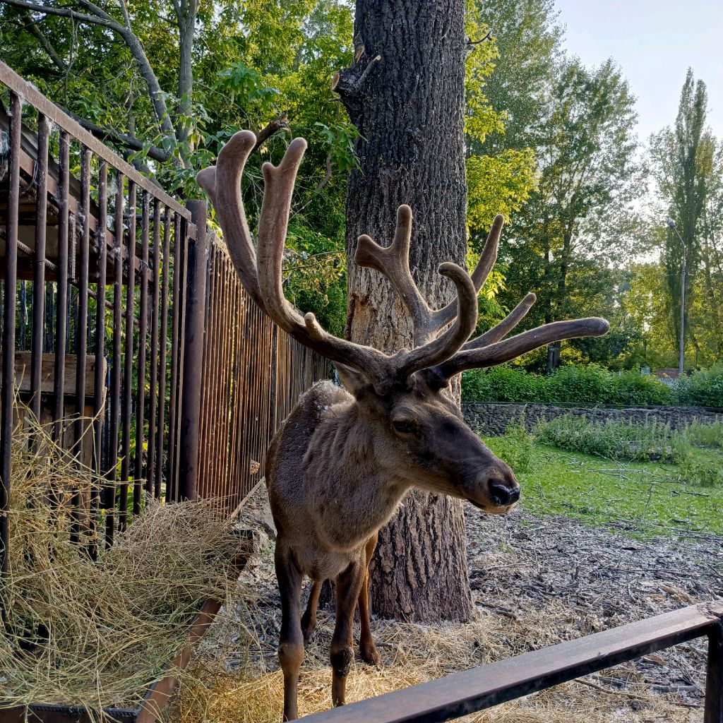 Иконка канала Maria-rec-ob