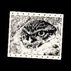 Иконка канала Divan Owl