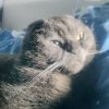 Иконка канала Никита плей