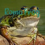 Иконка канала Roma Frog Live