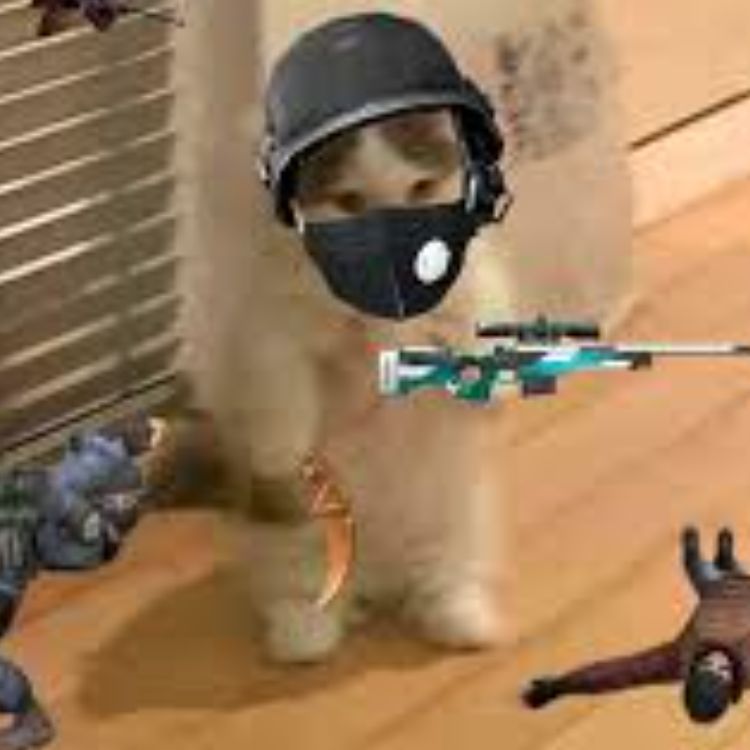 Иконка канала Call of Duty.