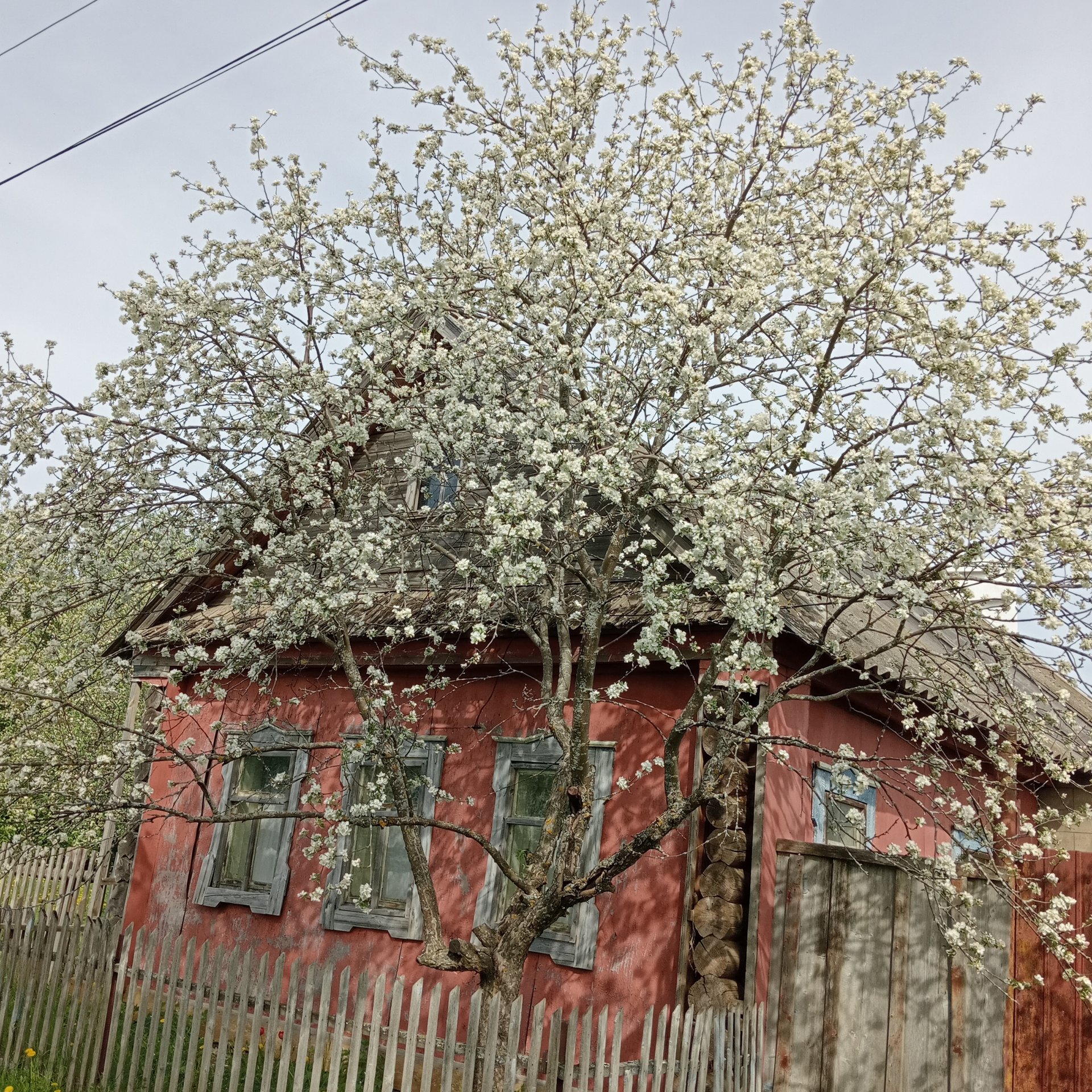 Иконка канала ВСЁ ПО ДЕРЕВЕНСКИЙ