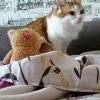 Иконка канала КОРОЛЬ КОКОСОВ