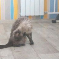 Иконка канала Kosto4ka