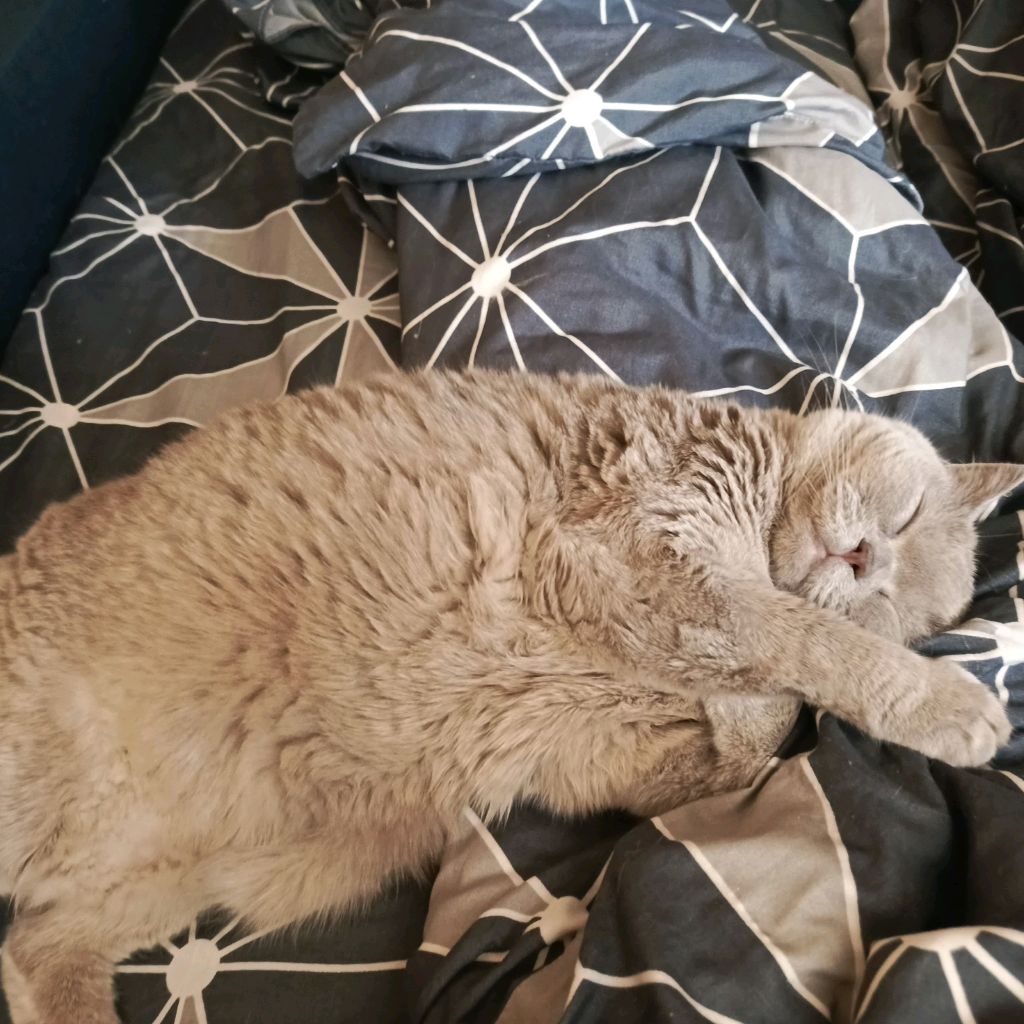 Иконка канала Vitali