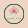 Иконка канала MYLOVEORCHIDS