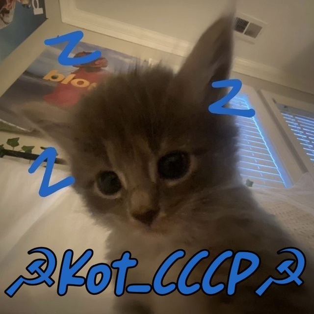 Аватар автора