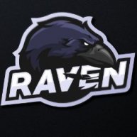 Иконка канала RaVeN