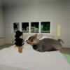 Иконка канала ТАСЯ_rbx
