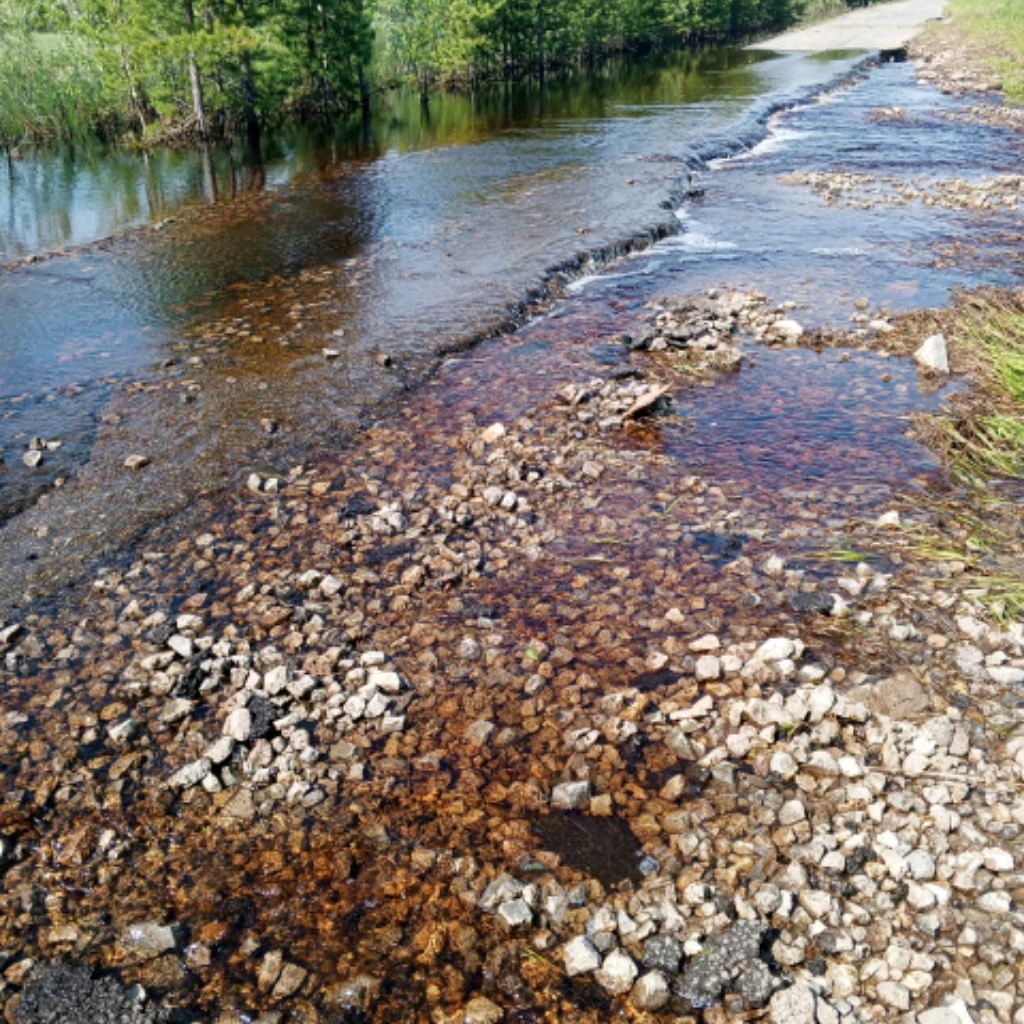 Иконка канала КУРАСАН