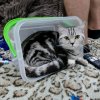 Иконка канала КириллВсемогущий