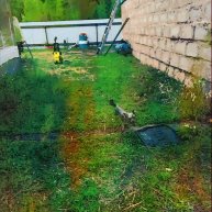 Иконка канала Амогус channel646111