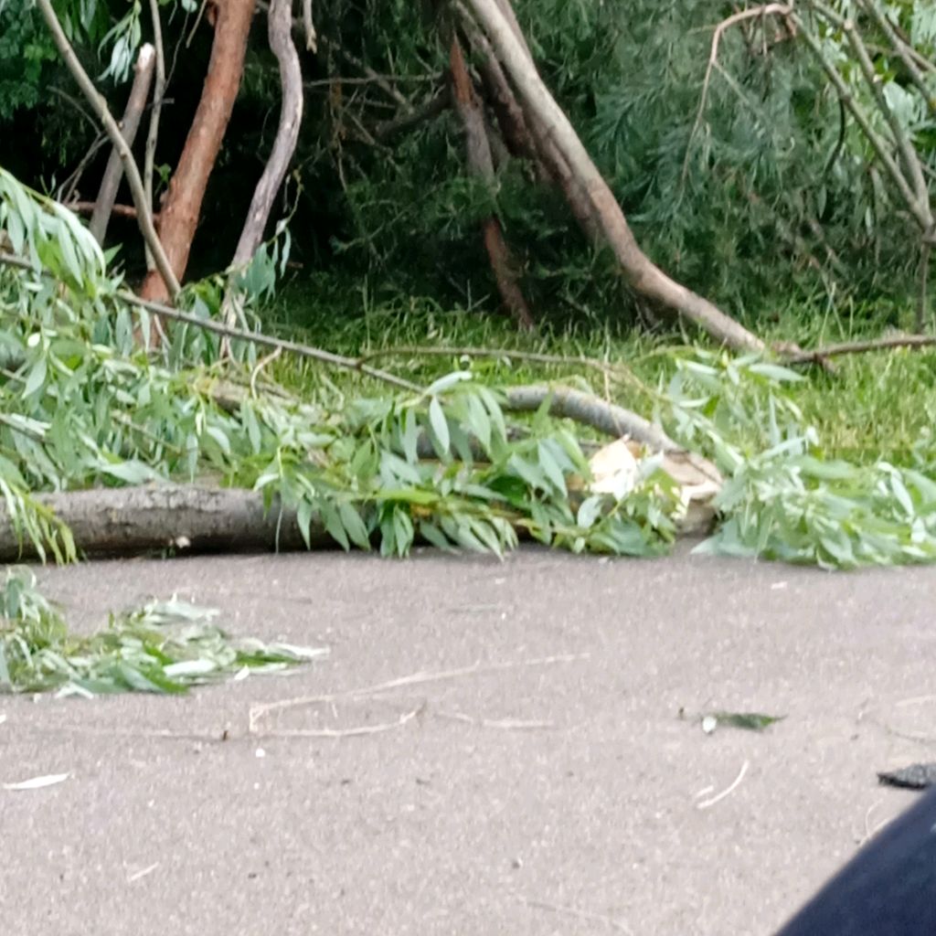 Иконка канала Даня Джумара