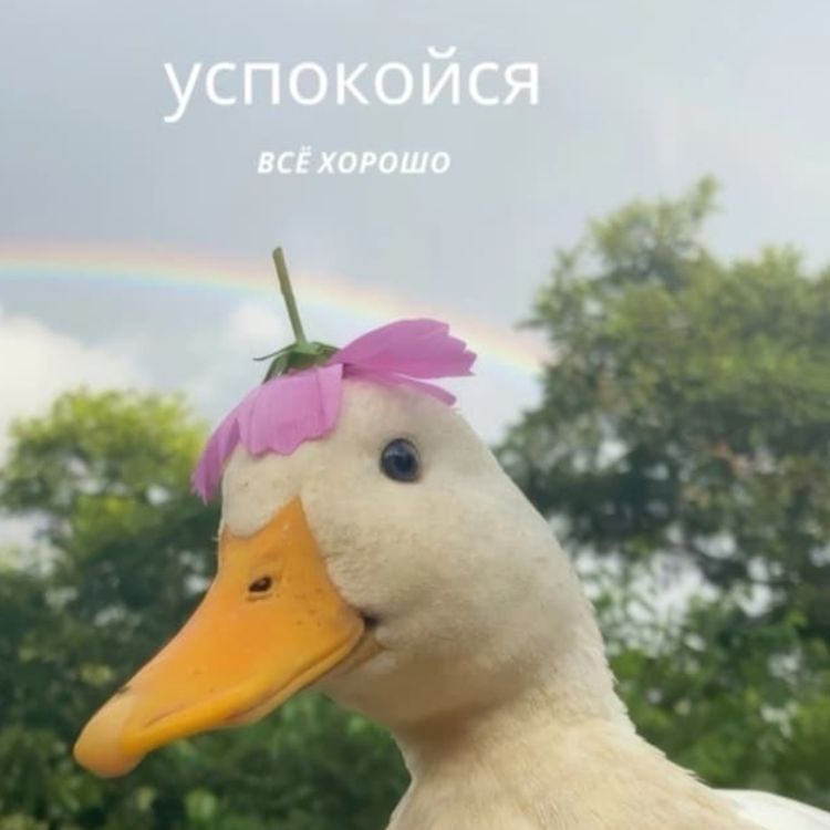 Лукьяновна 59